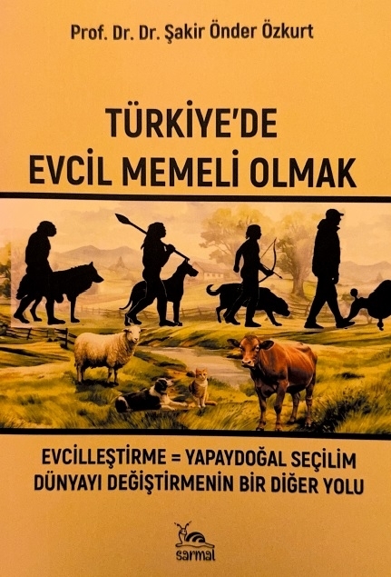 turkiyede-evcil-memeli-olmak