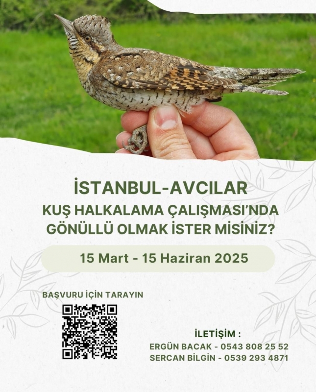 istanbul-avcilar-halkalama-calismasi-basliyor!