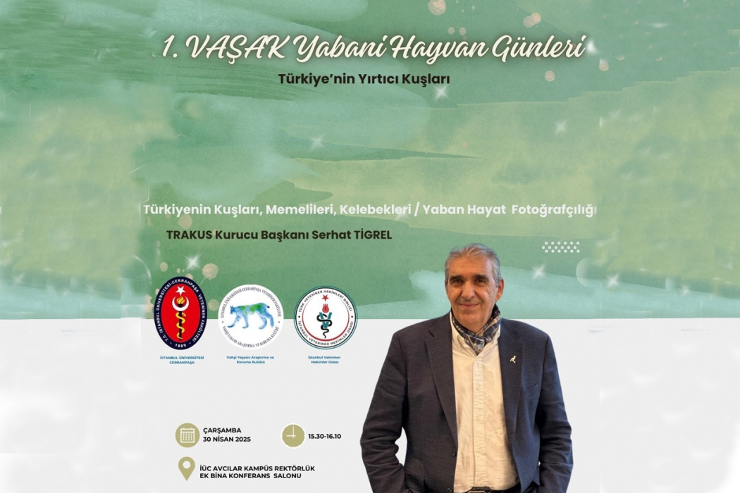 turkiyenin-yirtici-kuslari