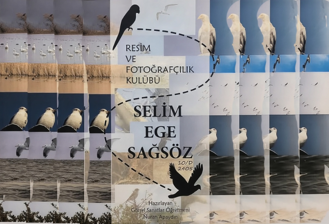 selim-ege-sergisi