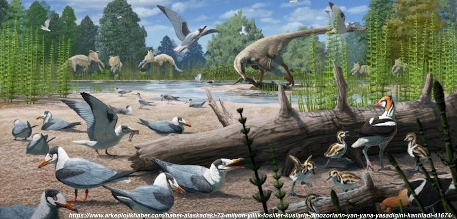 alaskadaki-73-milyon-yillik-fosiller-kuslarla-dinozorlarin-yan-yana-yasadigini-kantiladi