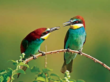 uyelerimizin-fotograflari-national-geographic-turkiyede