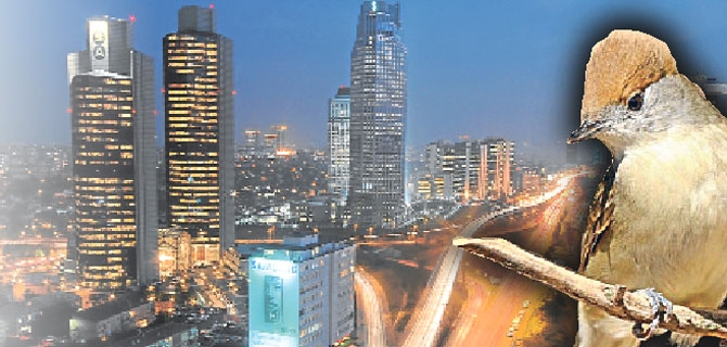 kus-gocu-icin-gokdelen-alarmi