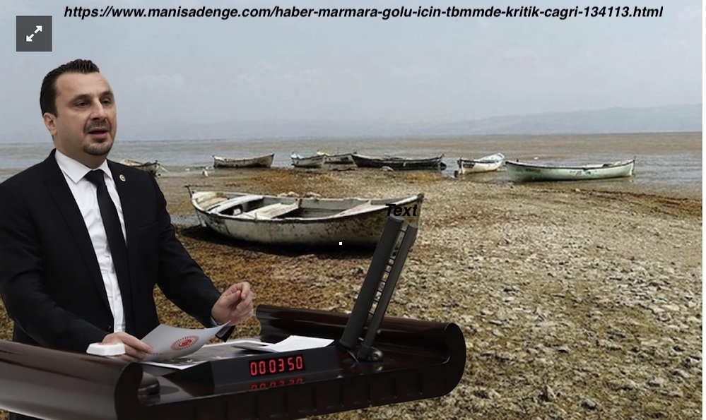 marmara-golu-icin-tbmmde-kritik-cagri-400e-yakin-kus-turunun-yuvasi