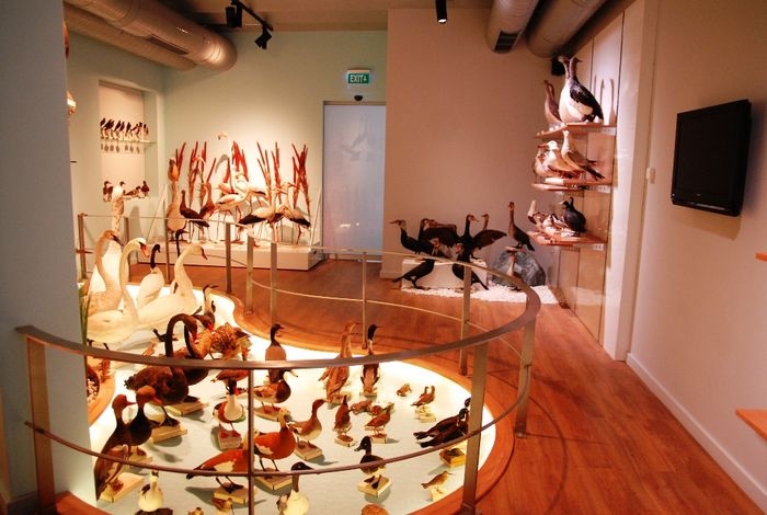 doga-bilimleri-merkezi-acildi!