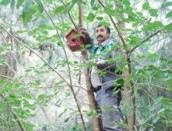 gaziantepteki-ormanlara-kus-yuvasi-konuldu