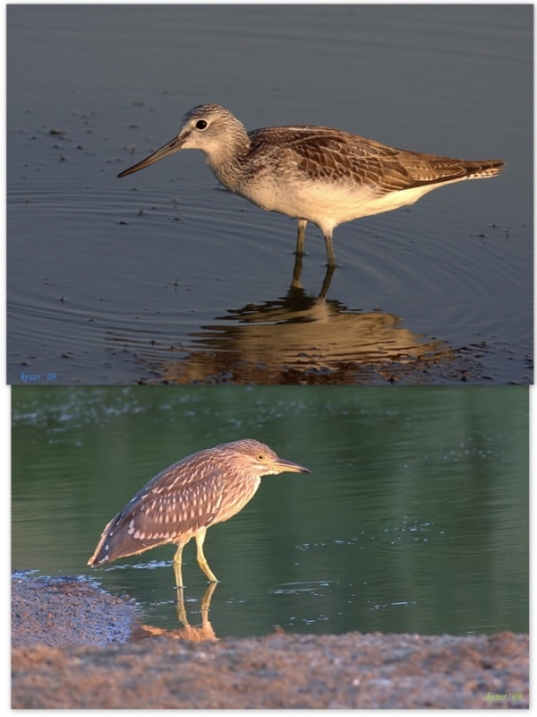 bafa-golu-hayata-donduruldu