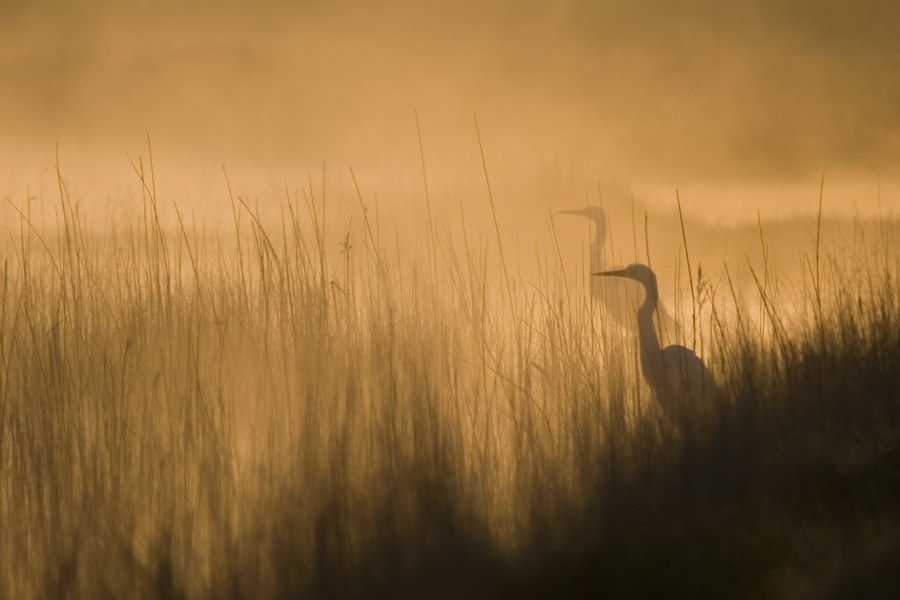 mogan-golunde-tas-ocagi-tehdidi