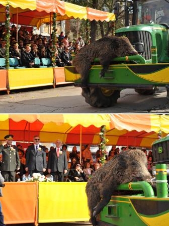 bakanlik-sorusturma-baslatti