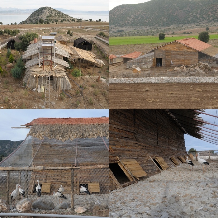 burdur-yaban-hayati-rehabilitasyon-merkezinde-calismalar-tam-gaz!