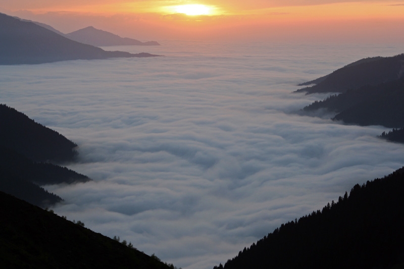 20-21-22-haziran-2008-iv--geleneksel-dag-horozu-festivali