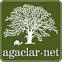 sehrin-sokaklarinda-kuslar-fotograf-yarismasi