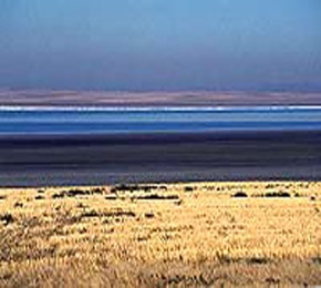 kurutulan-gol-yeniden-canlandiriliyor