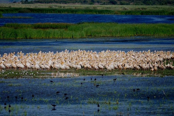 turkiyenin-dogasi-bicak-sirtinda
