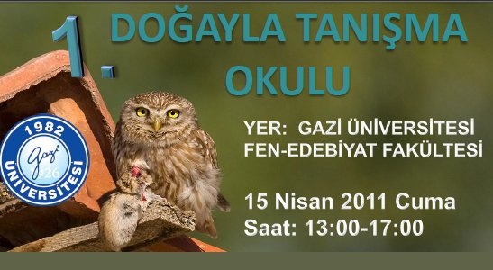 1--dogayla-tanisma-okulu