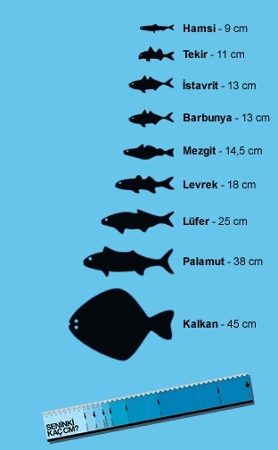 balikcilik-sezonu-15-nisan-cuma-gunu-kapaniyor