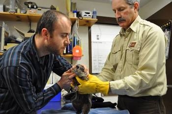 abd-de-egitim-aldilar-turkiye-nin-ilk-yaban-hayati-kurtarma-ve-rehabilitasyon-merkezini-kuracaklar-