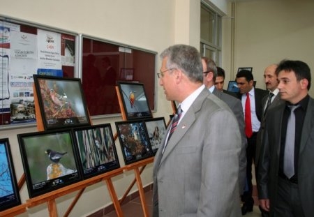 erzurum-ovasinin-kuslari-gumushane-universitesinde-sergileniyor