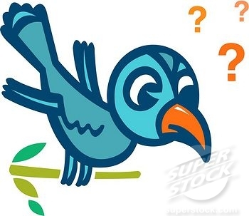 turkiye-de-yeni-kus-turu!-