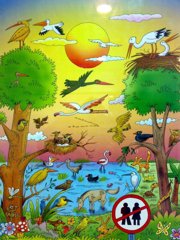 nihat-gencin-gozunden-mogan-golu