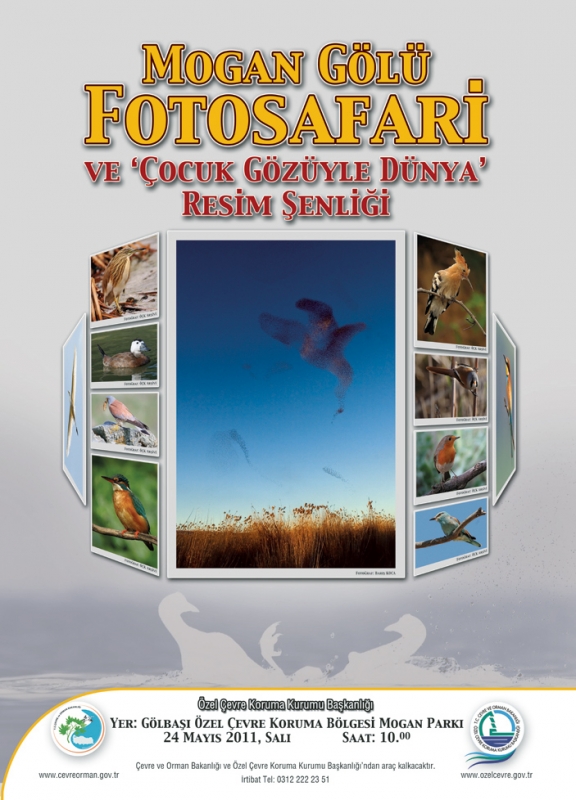 24-mayis-ta-mogan-da-fotosafari