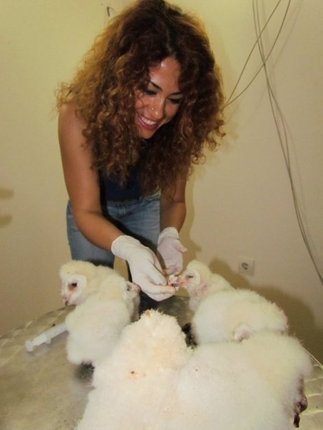 alti-yavru-peceli-paykus-oksuz-kaldi