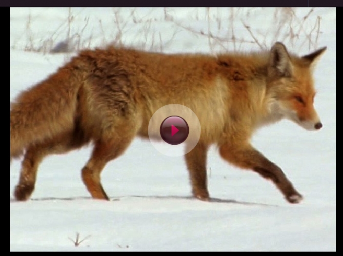 trakus-uyelerinin-belgeseli-festivalde-yarisiyor