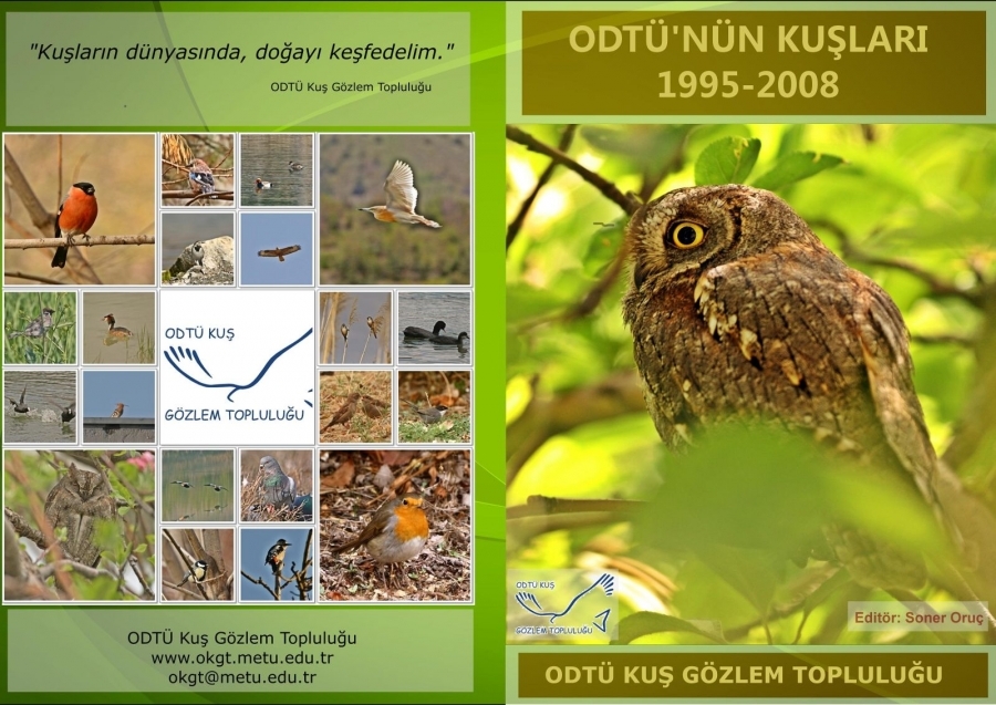 odtu-raporu-yayinlar-bolumunde