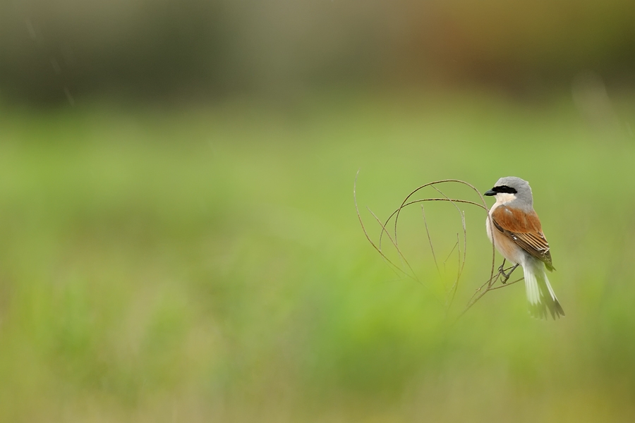 en-cok-pozu-alinanaz-alinanhic-alinamayan