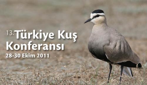 13--turkiye-kus-konferansi-28-31-ekim-2011