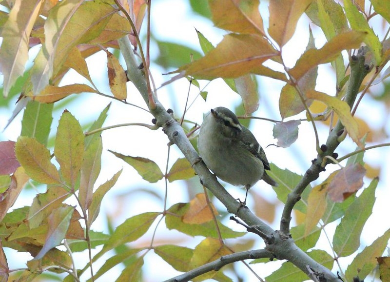 istanbul-moda-dan-muthis-kayit