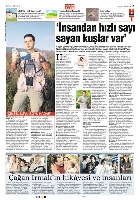 basinda-kuslar-ve-kuscular