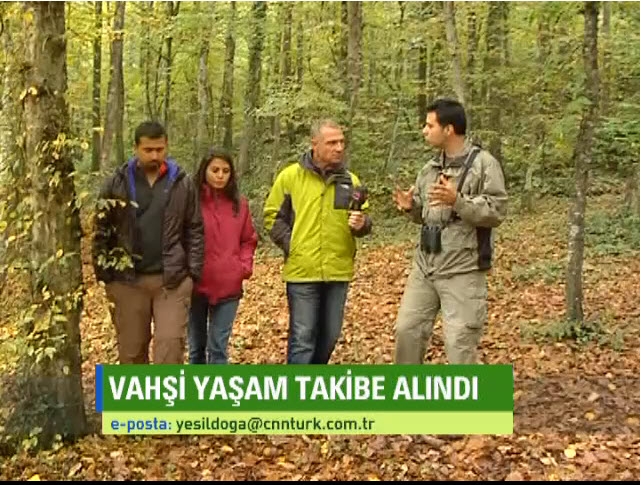 cnn-turk-yesil-doga---kuzeydoga-dernegi-nin-ilk-yaban-hayati-koridoru-ve-kurt-takip-projeleri