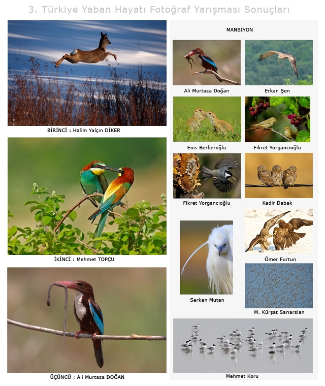 3-turkiye-yaban-hayati-fotograf-yarismasi-sonuclari-belli-oldu