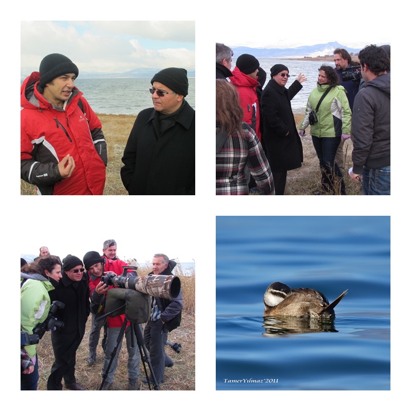 burdur-valimiz-ile-dikkuyruk-sayimi-