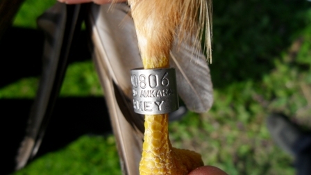 ulusal-halkalama-yurutme-komitesi-toplandi