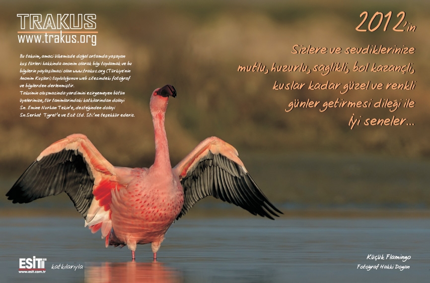 trakus-masa-takvimi--2012