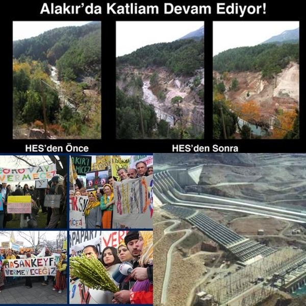 doga-ana-anadolu-2011-de-de-kaybetti