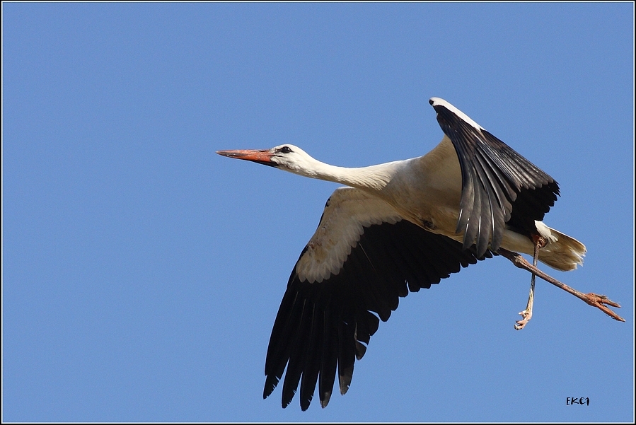kuraklasan-turkiyenin-umudu-marmara-golu