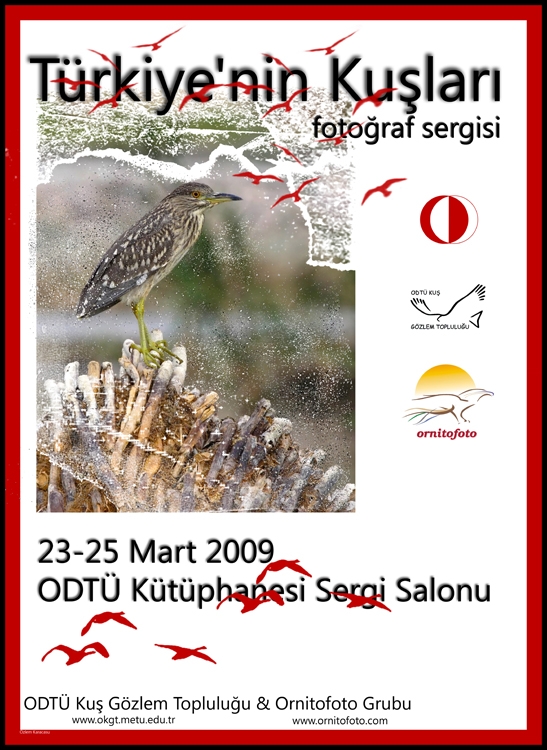 turkiyenin-kuslari-sergisi---