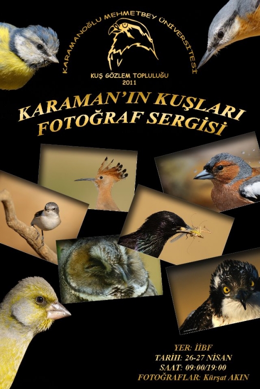 karaman-in-kuslari---