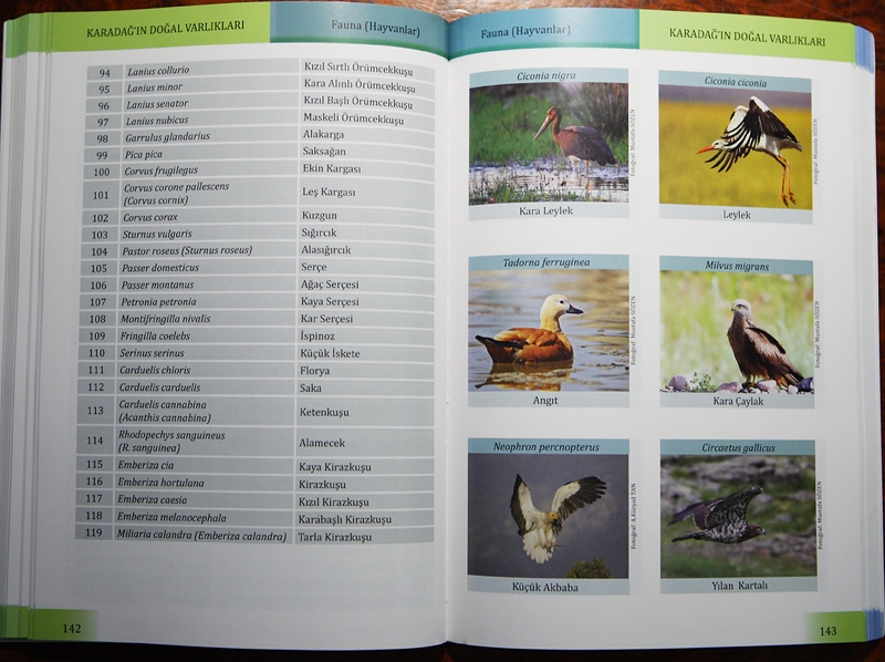 karadagin-dogal-ve-kulturel-varliklari-