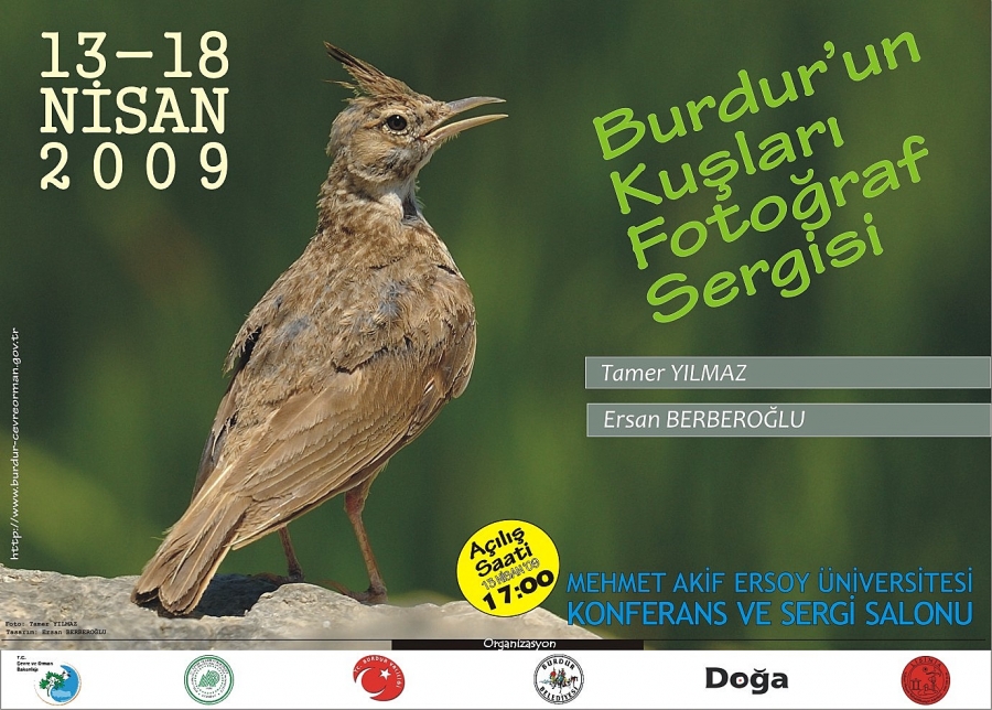 kuslar-burada-duracak