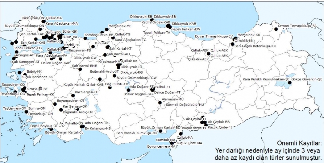 kusbank-gecmis-yillarda-kasim-kayitlari-