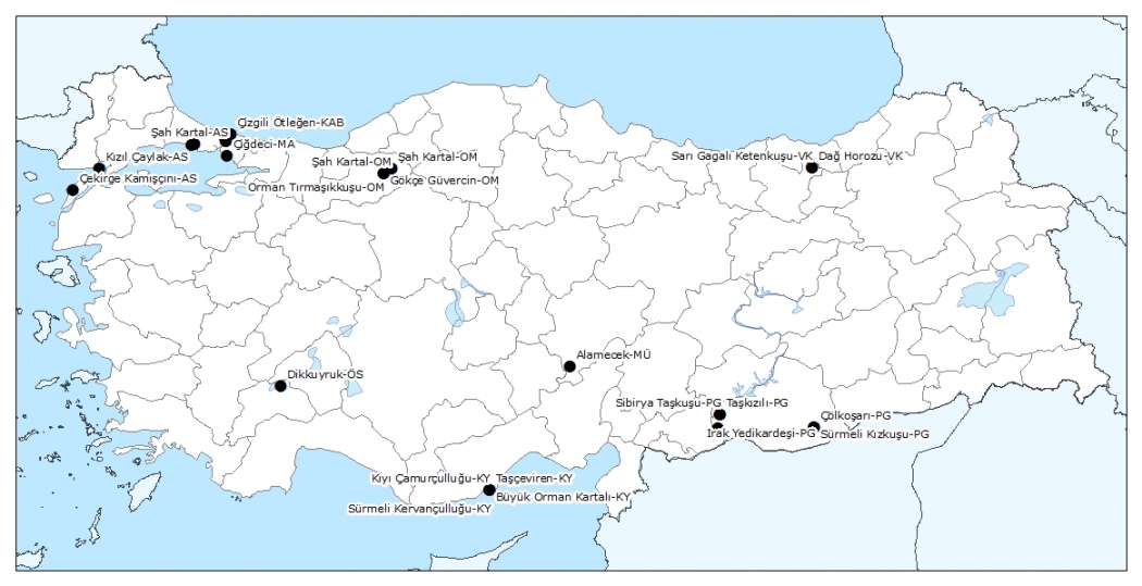 ekim-2012---onemli-kayitlar