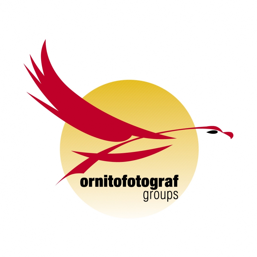 ornitofoto-1--yasini-kutladi-