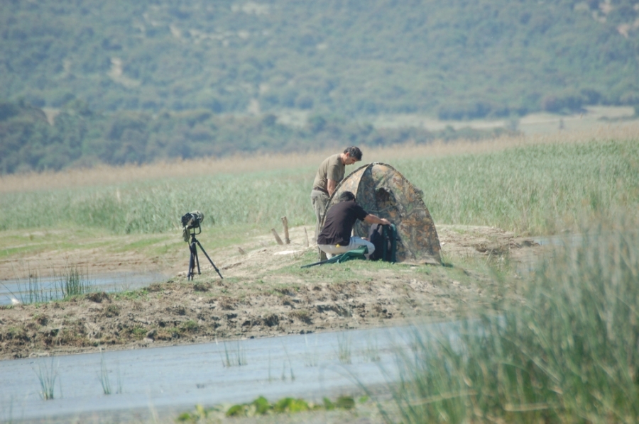 enez-ve-gala-golunu-gordunuz-mu