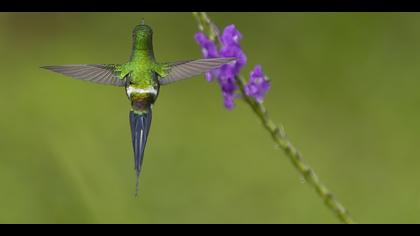 Tanımsız » Undefined » Undefined