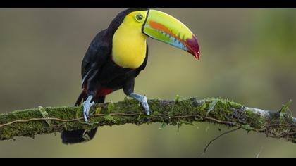 Tanımsız » Undefined » Undefined