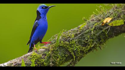 Tanımsız » Undefined » Undefined